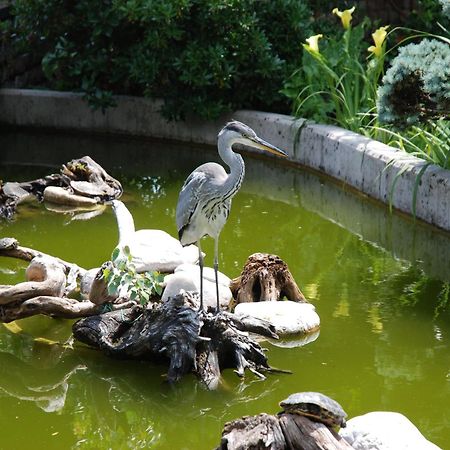 Hotel Al Giardino Fanna Zewnętrze zdjęcie