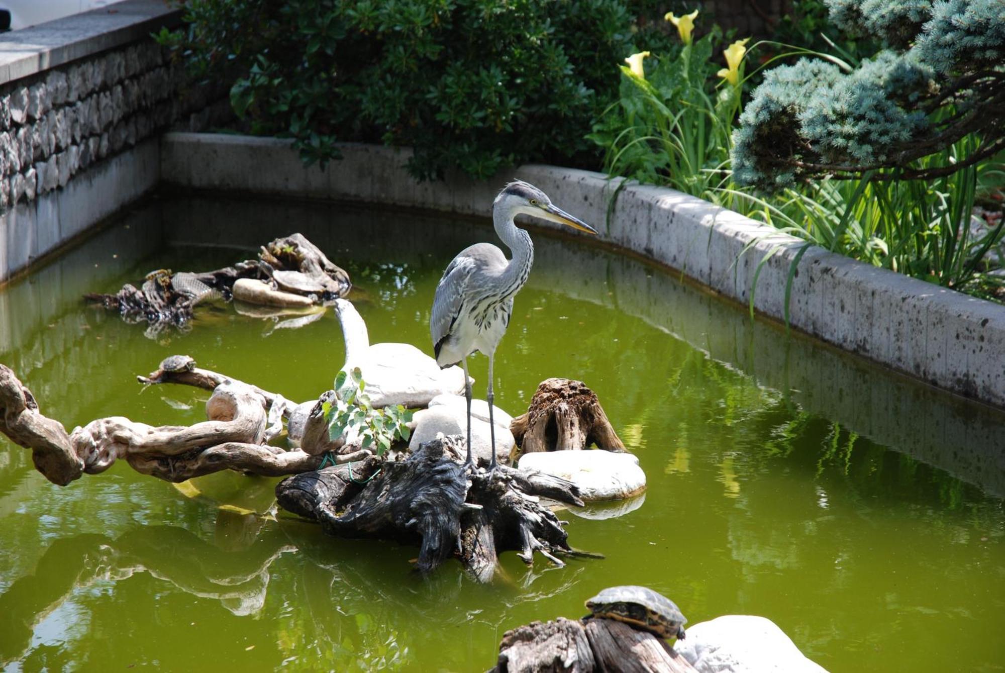 Hotel Al Giardino Fanna Zewnętrze zdjęcie