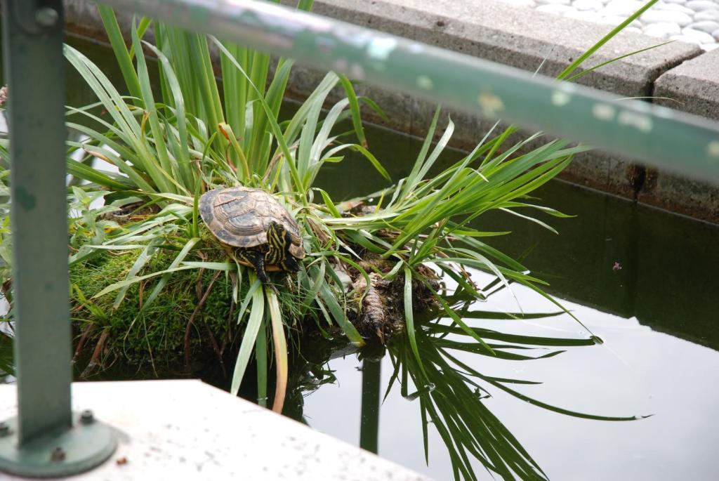 Hotel Al Giardino Fanna Zewnętrze zdjęcie